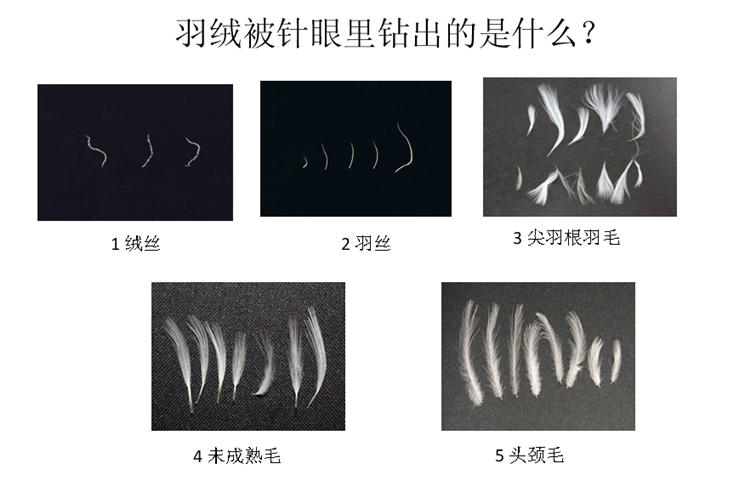 2024新澳门原料网点站